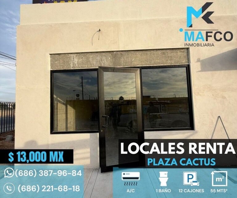 ¡Se renta locales en Plaza Cactus Carr. San Luis Rio Colorado(Mexicali,B.C.)!)